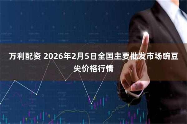 万利配资 2026年2月5日全国主要批发市场豌豆尖价格行情