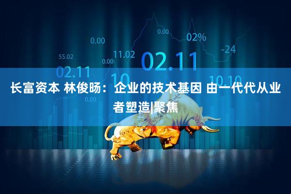 长富资本 林俊旸：企业的技术基因 由一代代从业者塑造|聚焦
