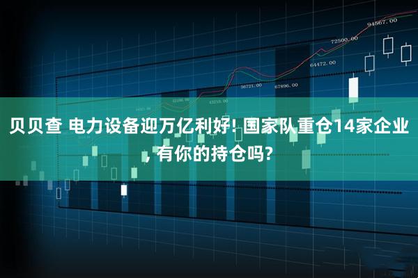 贝贝查 电力设备迎万亿利好! 国家队重仓14家企业, 有你的持仓吗?