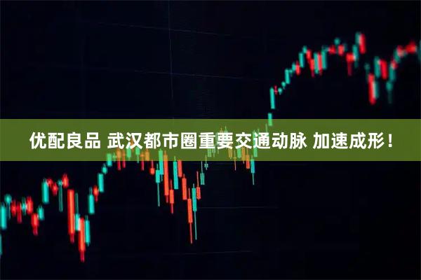 优配良品 武汉都市圈重要交通动脉 加速成形！