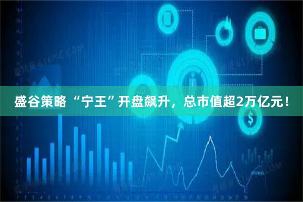 盛谷策略 “宁王”开盘飙升，总市值超2万亿元！