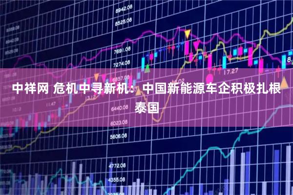 中祥网 危机中寻新机：中国新能源车企积极扎根泰国