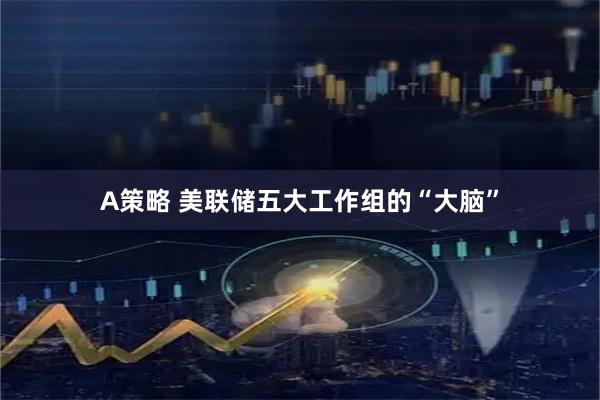 A策略 美联储五大工作组的“大脑”