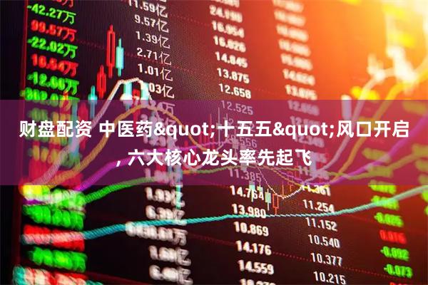 财盘配资 中医药"十五五"风口开启, 六大核心龙头率先起飞