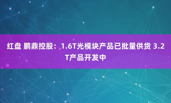 红盘 鹏鼎控股：1.6T光模块产品已批量供货 3.2T产品开发中