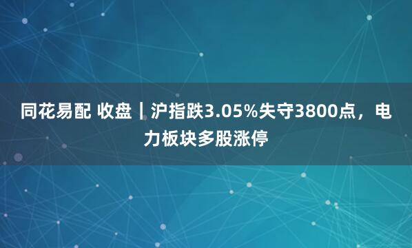 同花易配 收盘｜沪指跌3.05%失守3800点，电力板块多股涨停