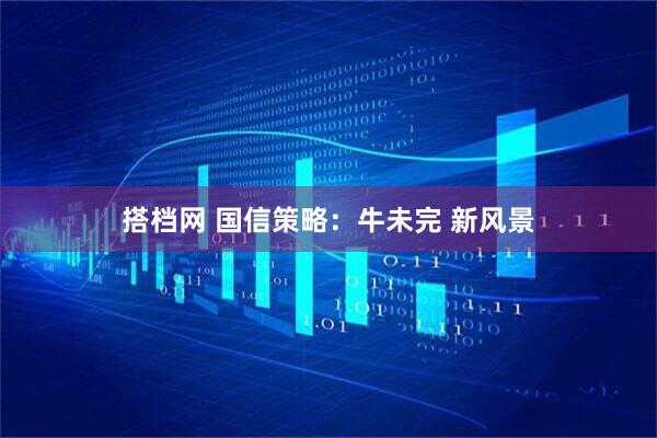 搭档网 国信策略：牛未完 新风景